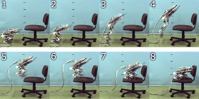 jumping onto the chair