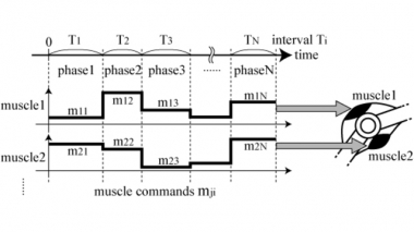 筋指令切替パタン