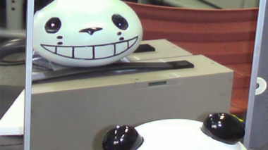 鏡に映ったパンダ